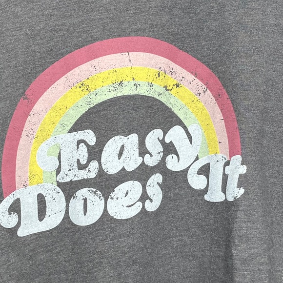 Wildfox Easy Does It Statement Sweatshirt Gray and Rainbow Top Split Side - Picture 3 of 6